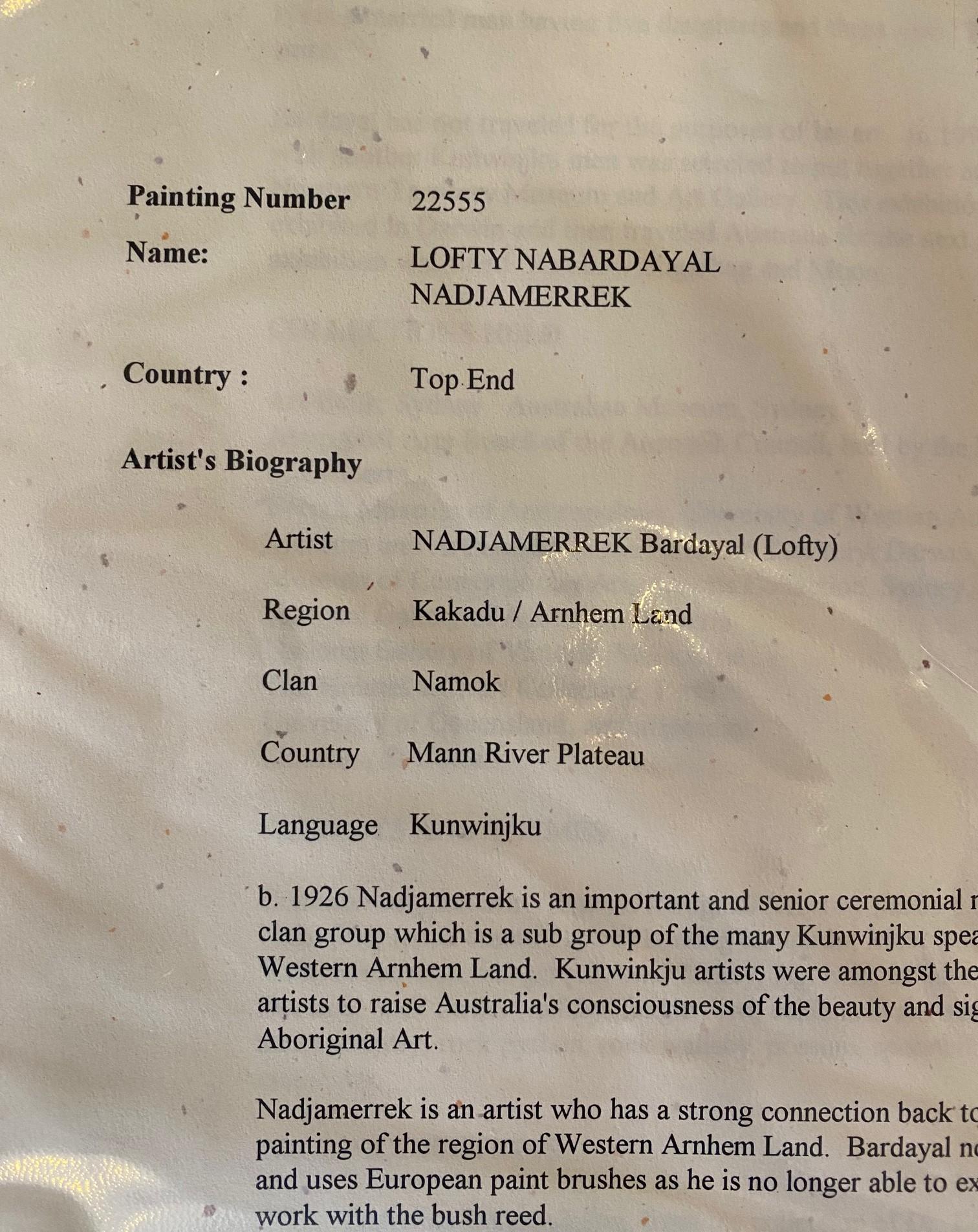 Bardayal Nadjamerrek Art aborigène australien Peinture originale sur écorce en vente 10