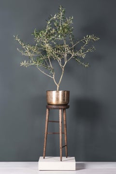 Baré Tall Planter, Walnut with Cast Bronze Tray and Planter