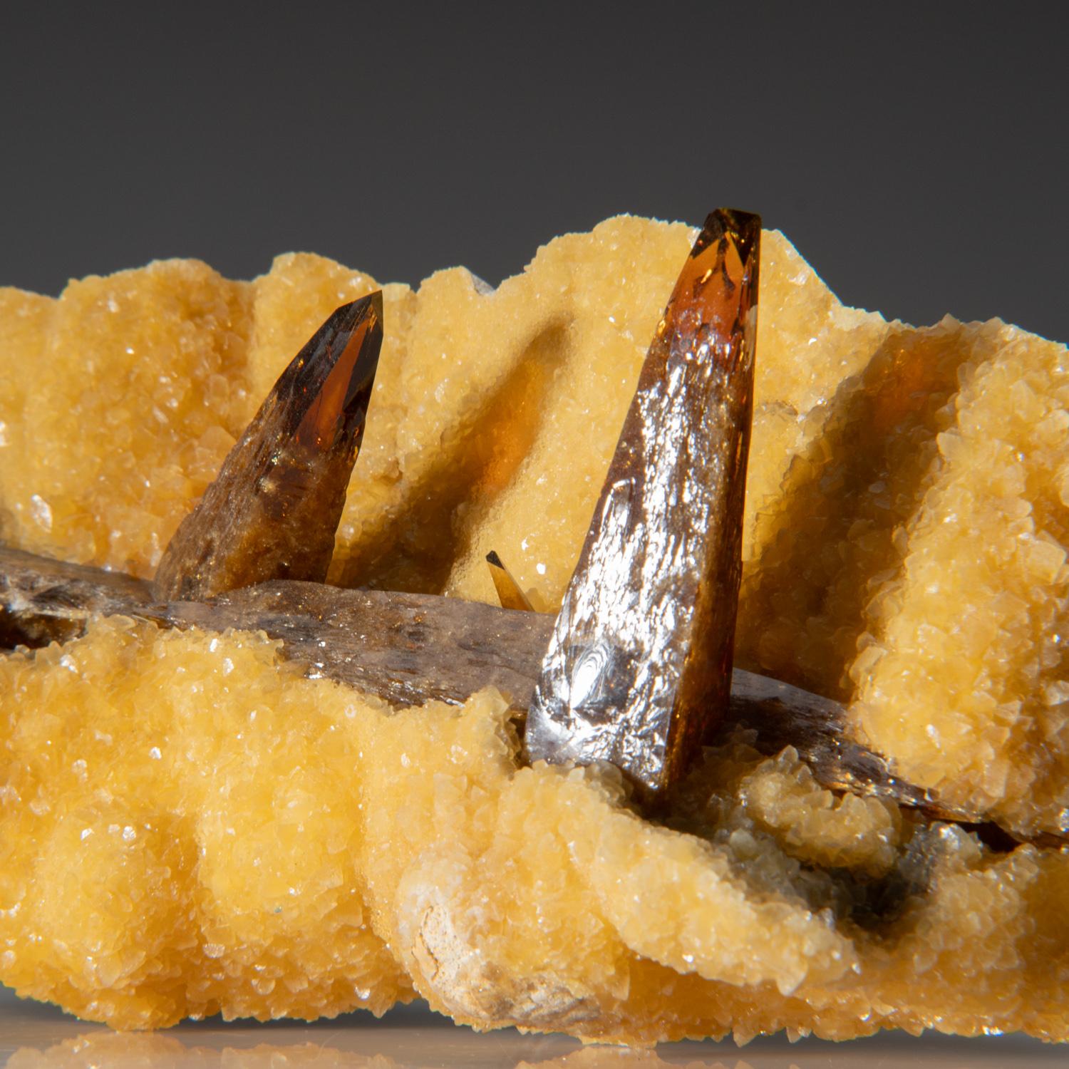 De Elk Creek, comté de Meade, Dakota du Sud

Spécimen classique de plusieurs cristaux de barytine brun doré transparents et lustrés sur une matrice recouverte de calcite jaune.

Poids : 1.85 lbs, Dimensions : 5.5 x 2.5 x 3 pouces
