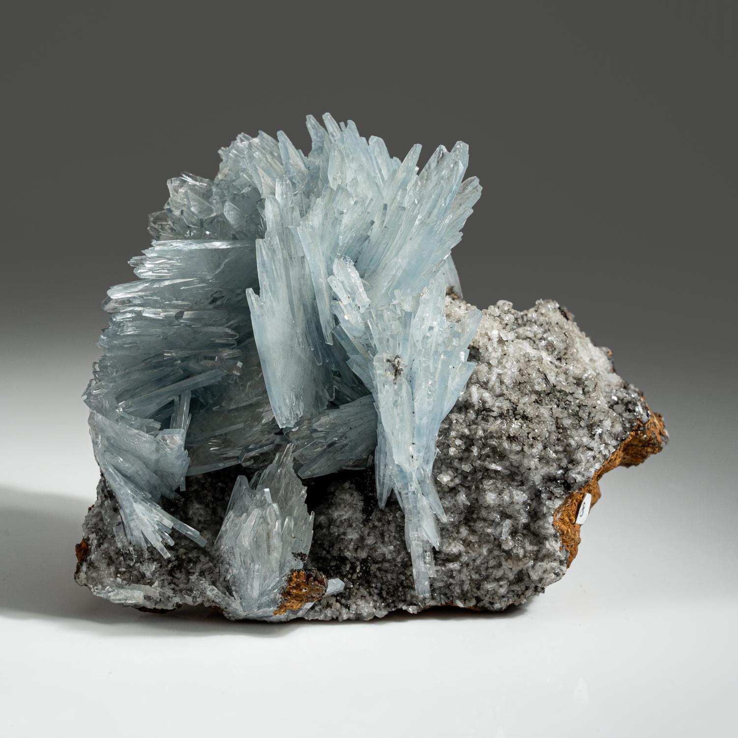 From Jebel Ouichane, Beni Bou Ifrour, Nador, Nador Province, Oriental Region, Morocco

Lustrous transparent blue-gray bladed barite crystals in intersecting aggregates of subparallel crystals on matrix. Note the small transparent colorless barite