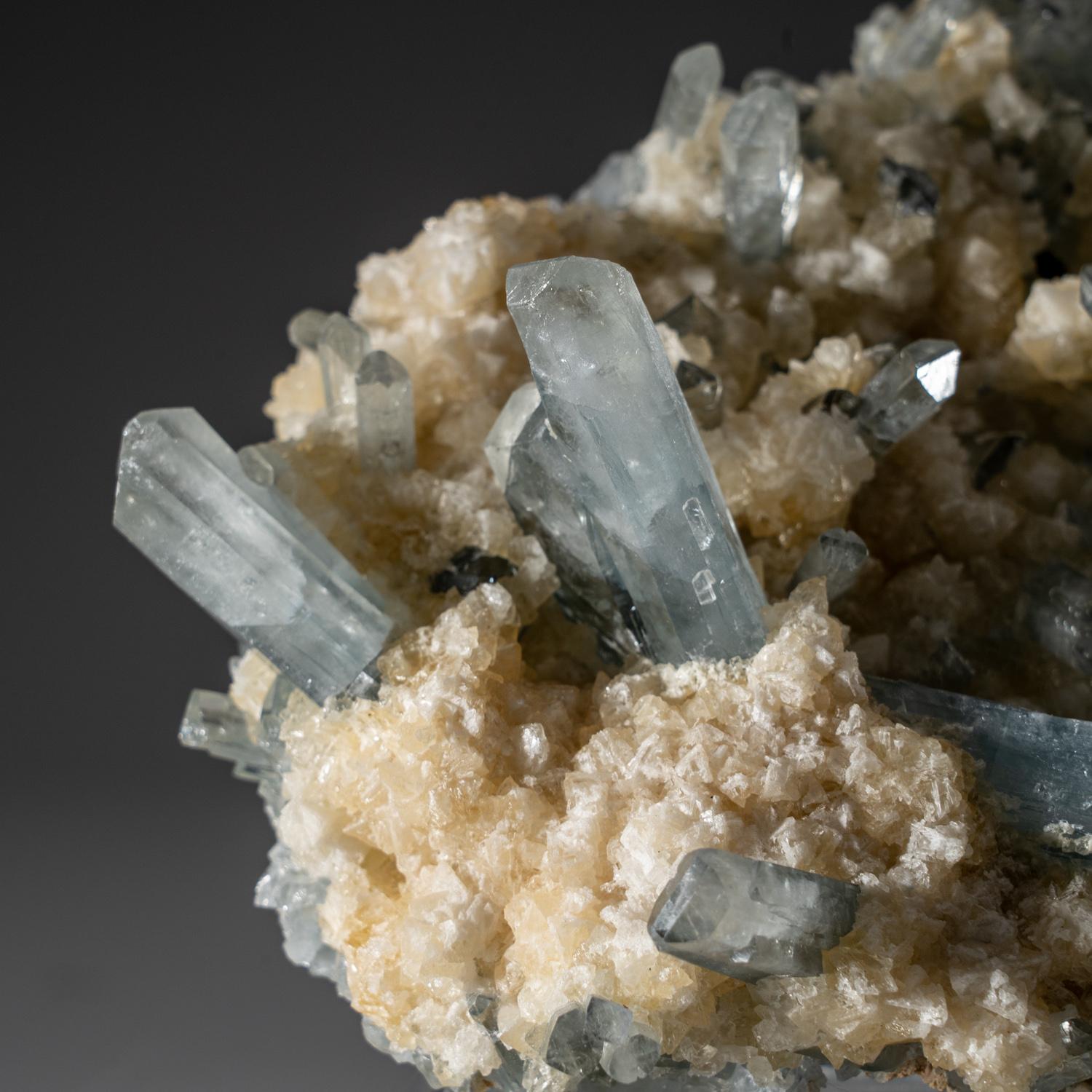 Aus der Sterling Mine, Stoneham, Weld County, Colorado

Cluster aus sich kreuzenden transparenten, zahlreichen prismatischen blauen Barytkristallen in einer Matrix aus Sphalerit.

 

Gewicht: 442,9 Gramm, Abmessungen: 5 x 2 x 3,5 Zoll
