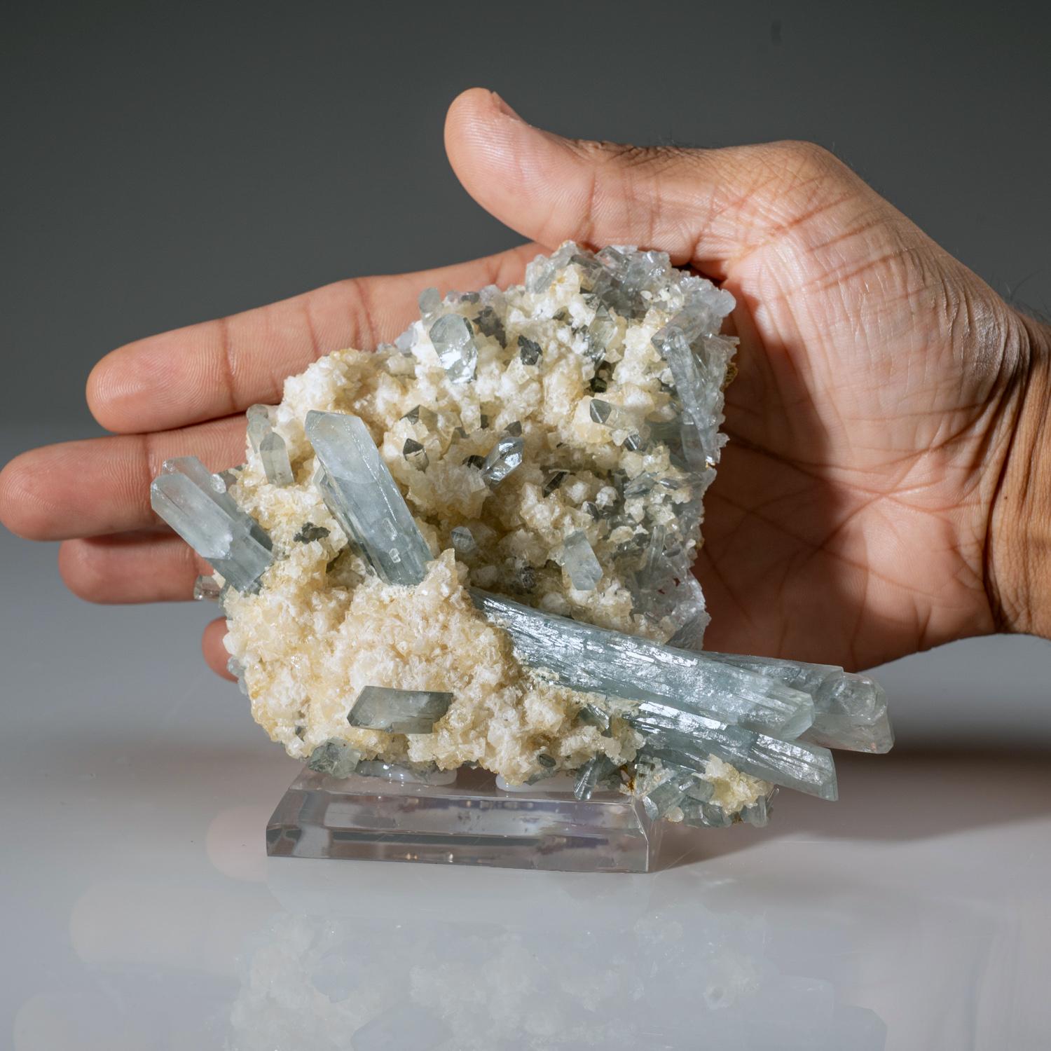 Barit in Sphalerit aus der Sterling-Mine, Stoneham, Weld County, Colorado (amerikanisch) im Angebot
