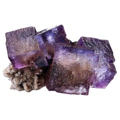 Natural Specimens