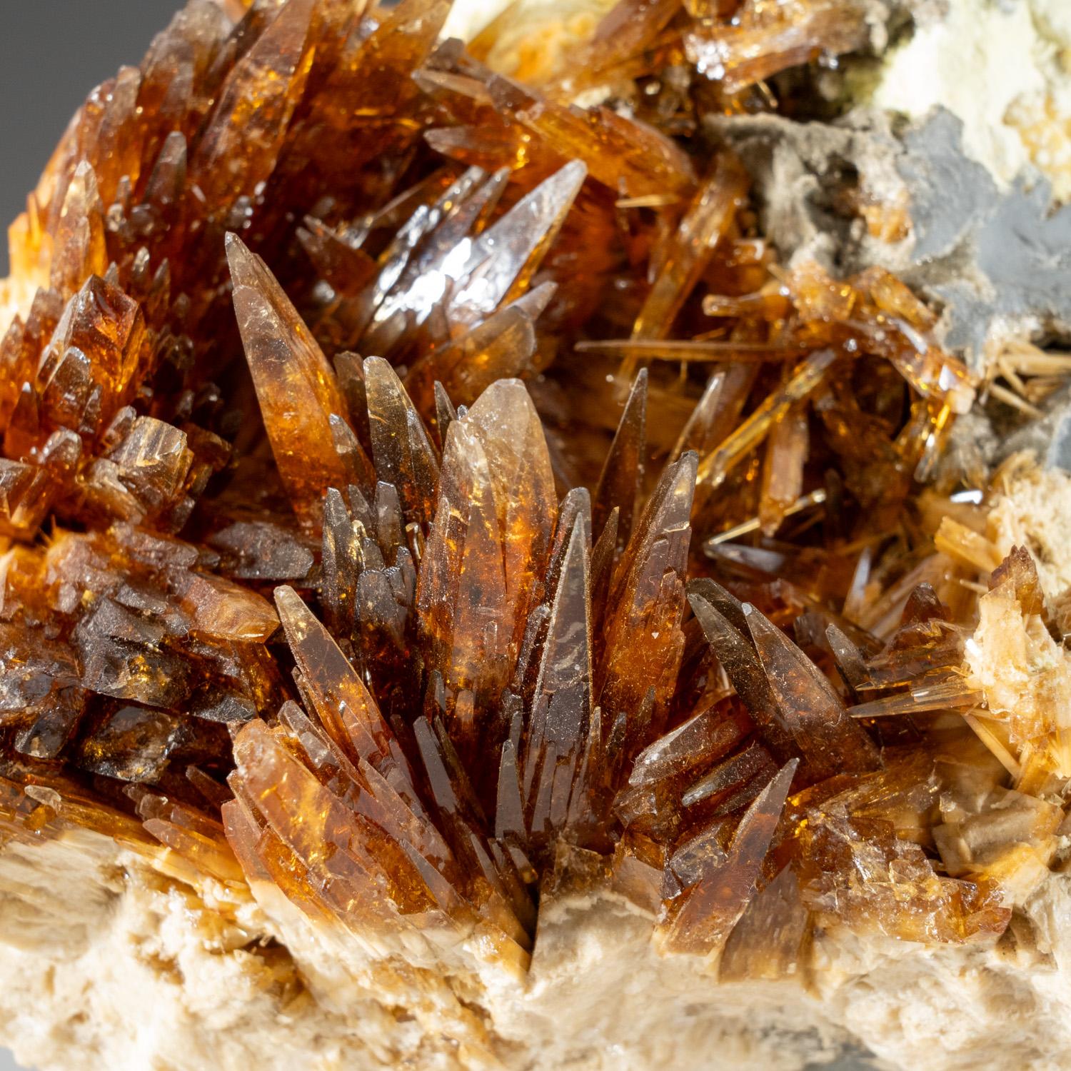 From Machow Mine, Tarnobrzeg, Poland

Diverging sprays of transparent, golden barite crystals on matrix with yellow iron. The barite crystals are elongated, prismatic crystals with glassy surface luster. 


Weight: 3 lbs, Dimensions: 4 x 3 x 5 inches