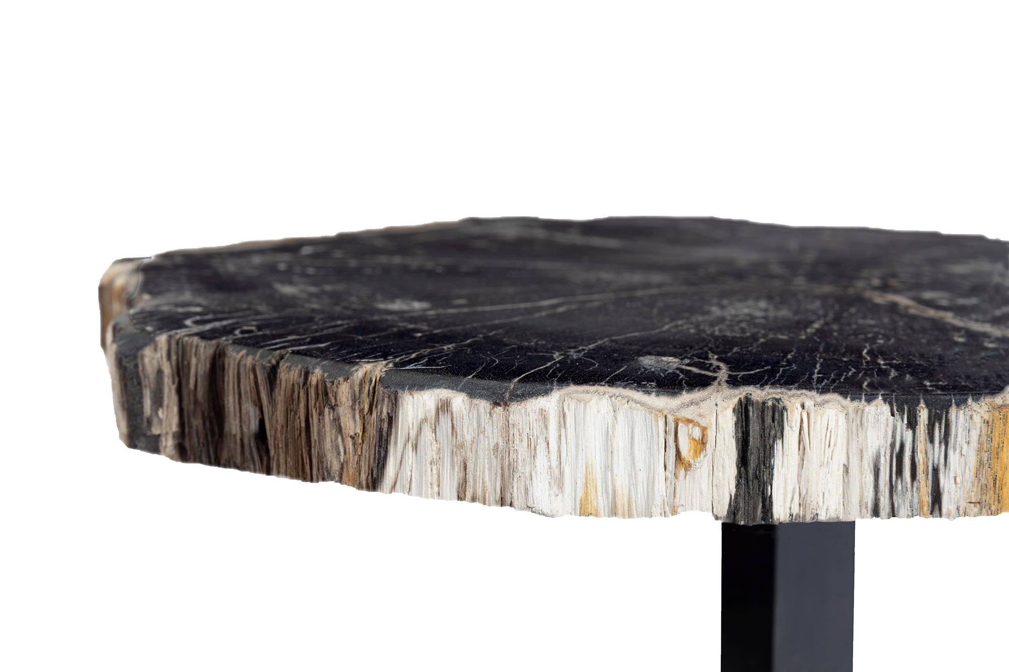 Organic Modern Bark Edge Petrified Wood Drinks Table For Sale