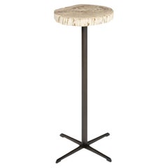 Bark Edge Petrified Wood Drinks Table