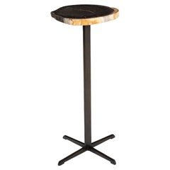 Bark Edge Petrified Wood Drinks Table