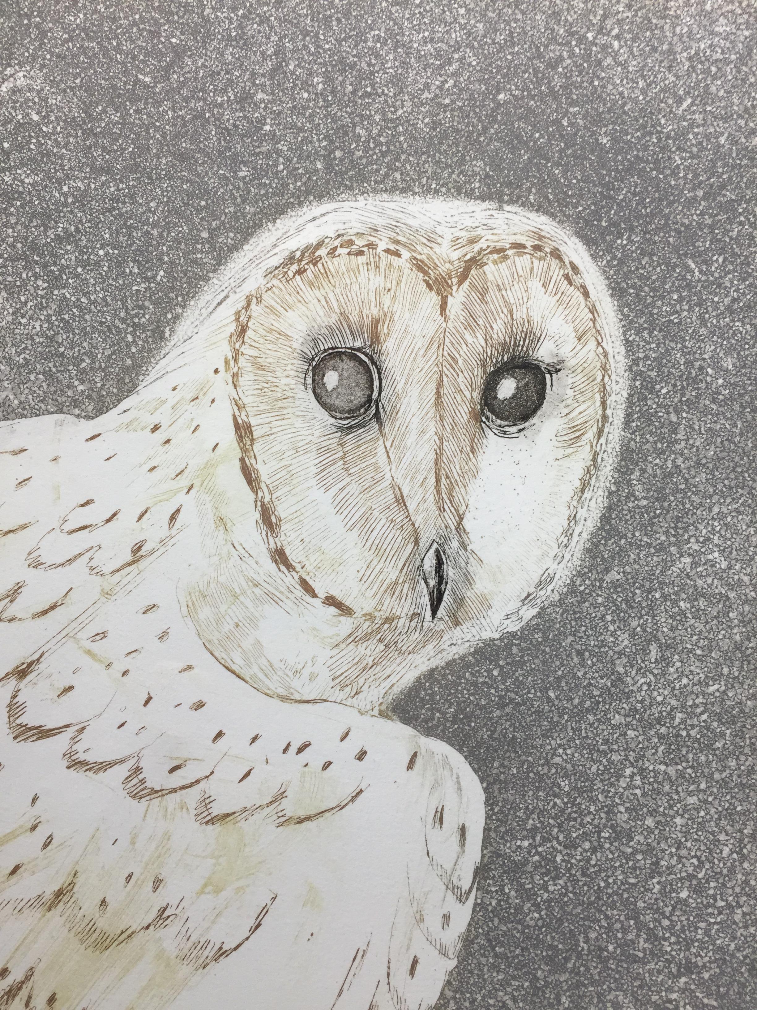 Modern Barn Owl, Etching with Aquatint in Colors by Dame Elizabeth Frink, circa 1977 For Sale