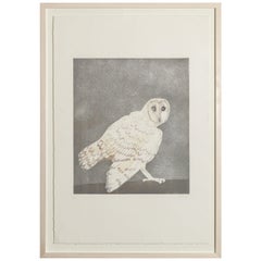 Vintage Barn Owl, Etching with Aquatint in Colors by Dame Elizabeth Frink, circa 1977