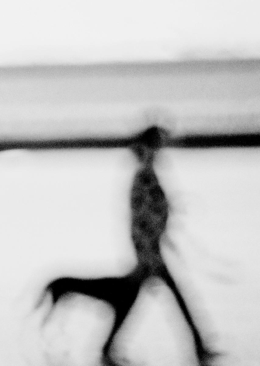 Barnaby Hall Figurative Photograph - Boneco De Pau, Brazil, 1997