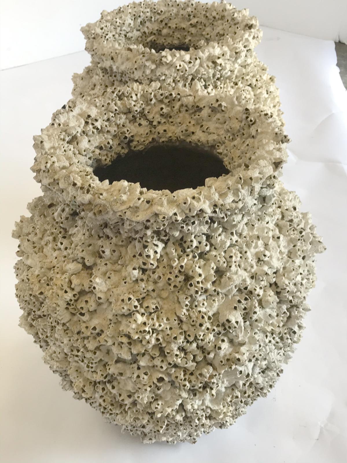 barnacle urn