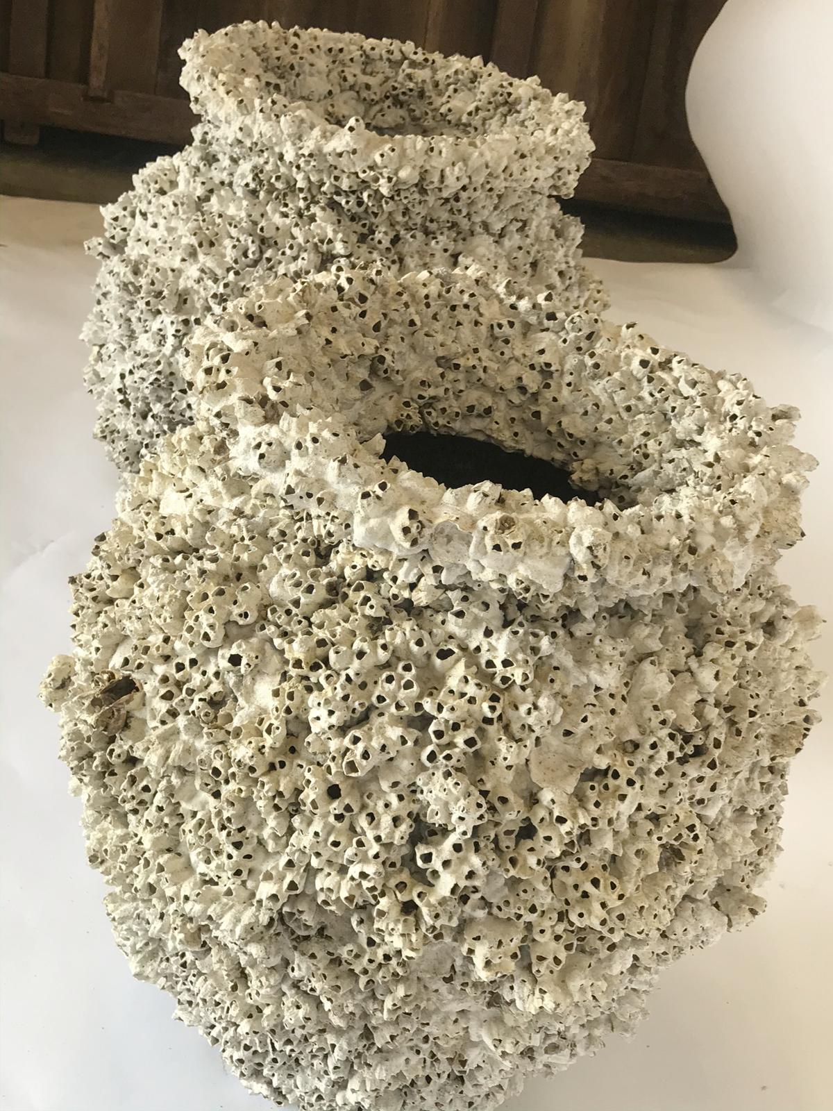 Contemporary Barnacle Encrusted Ceramic Urns