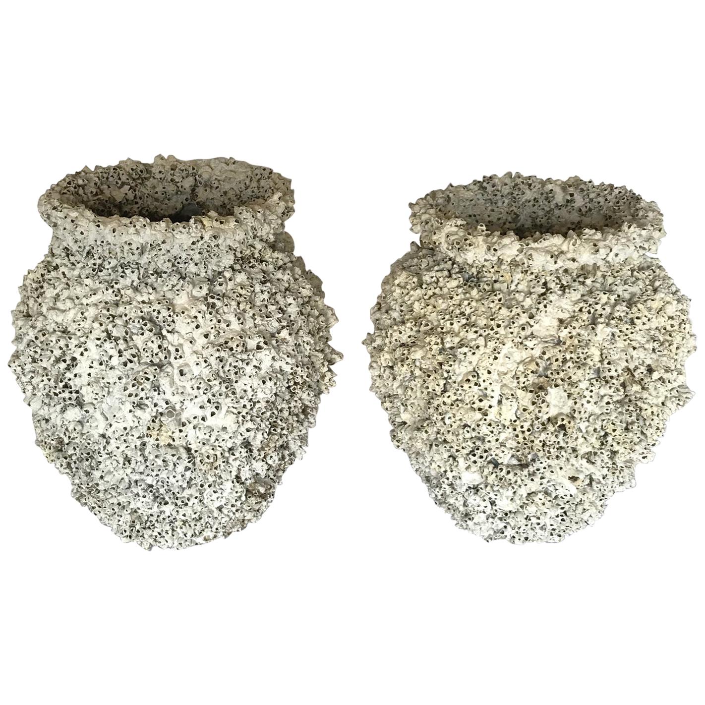 Barnacle Encrusted Ceramic Urns