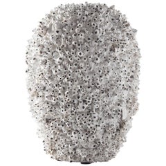 Barnacle Vase