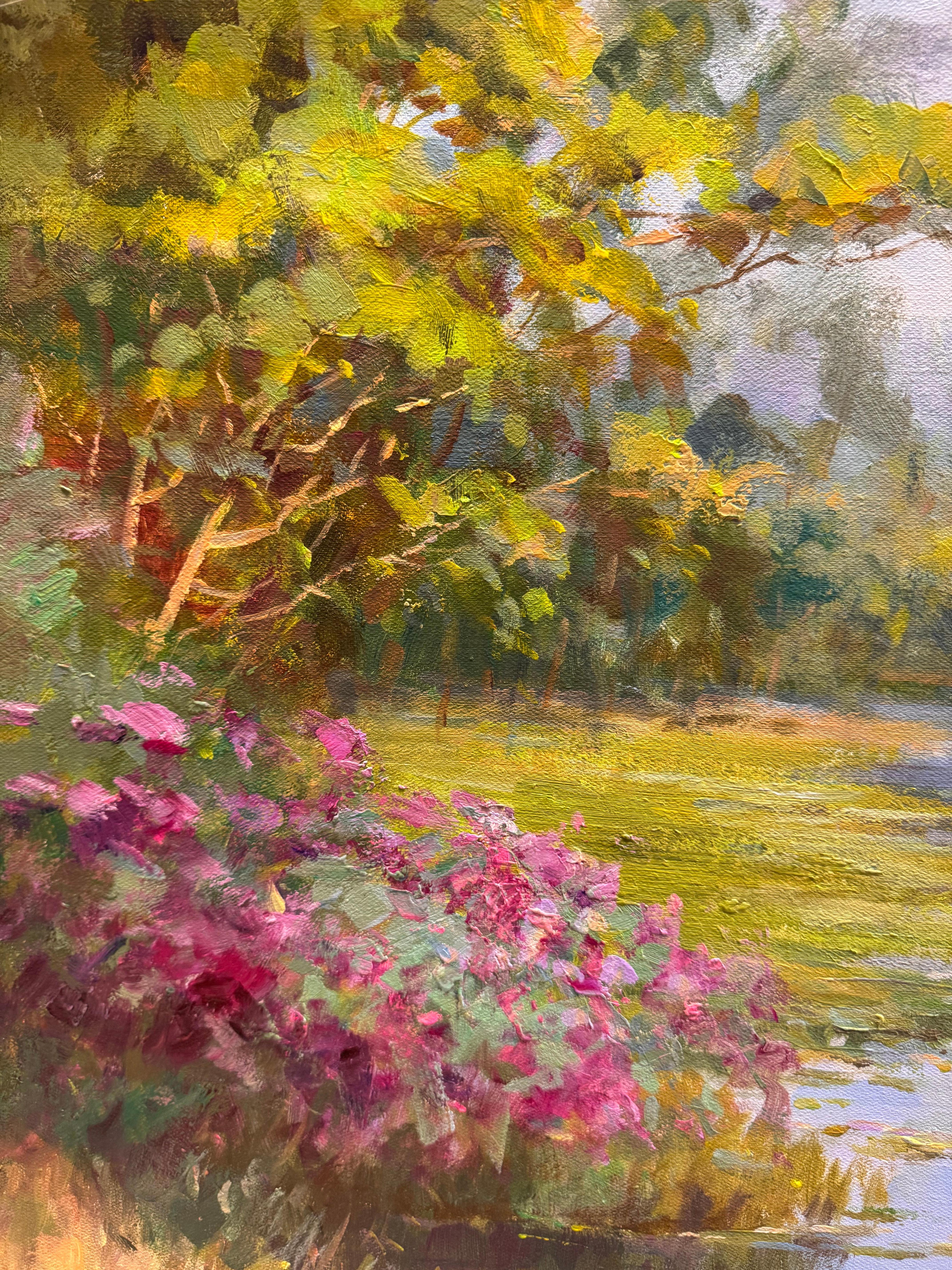 Seerosen im Angebot 1