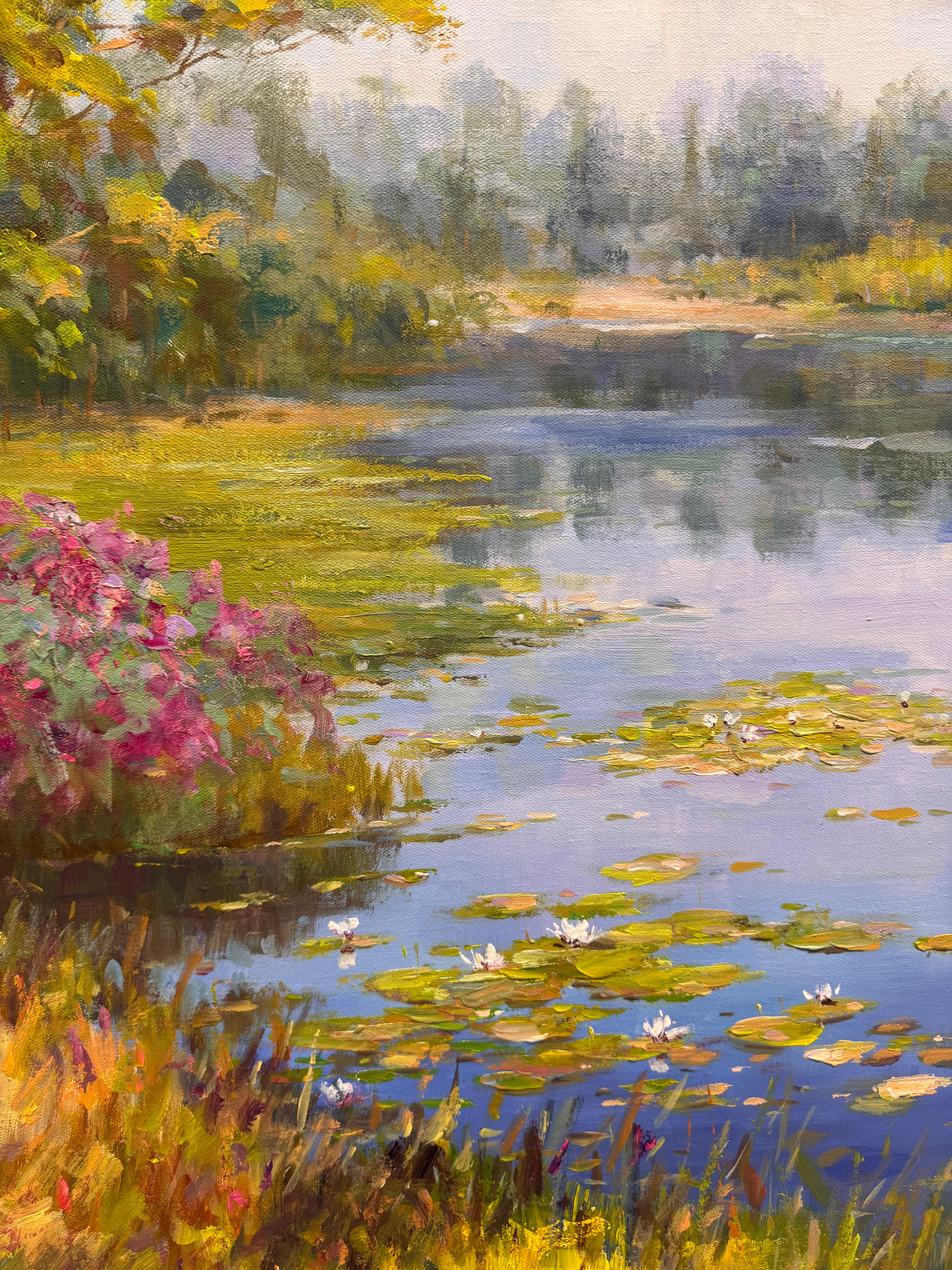 Seerosen im Angebot 2