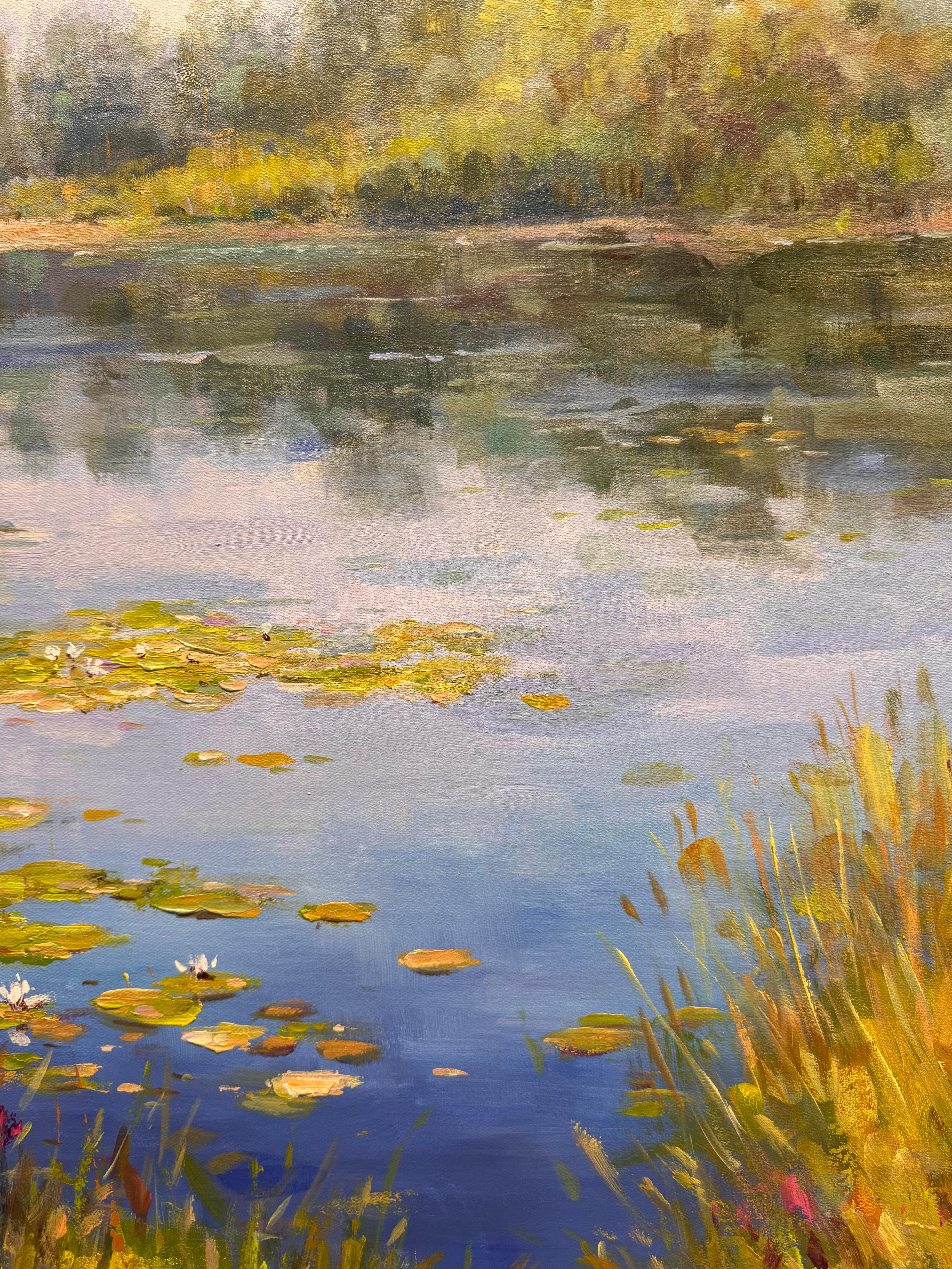 Seerosen im Angebot 3