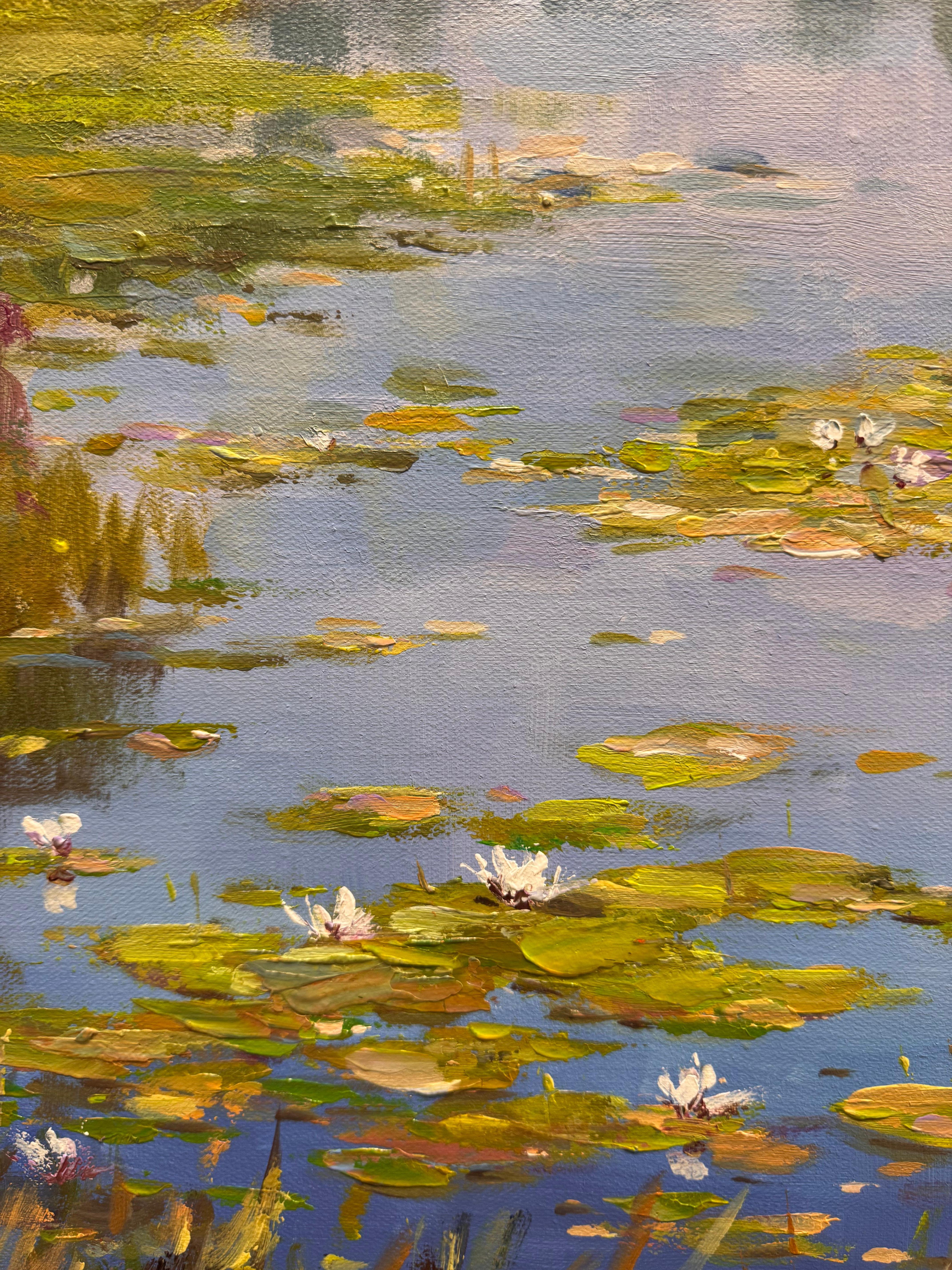 Seerosen im Angebot 4