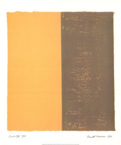 Vintage 1998 After Barnett Newman 'Canto XIII' 