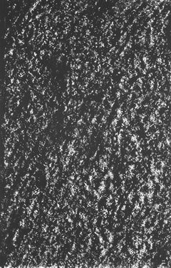 Newman, Sans titre, In memoria dei miei sentimenti (dopo)