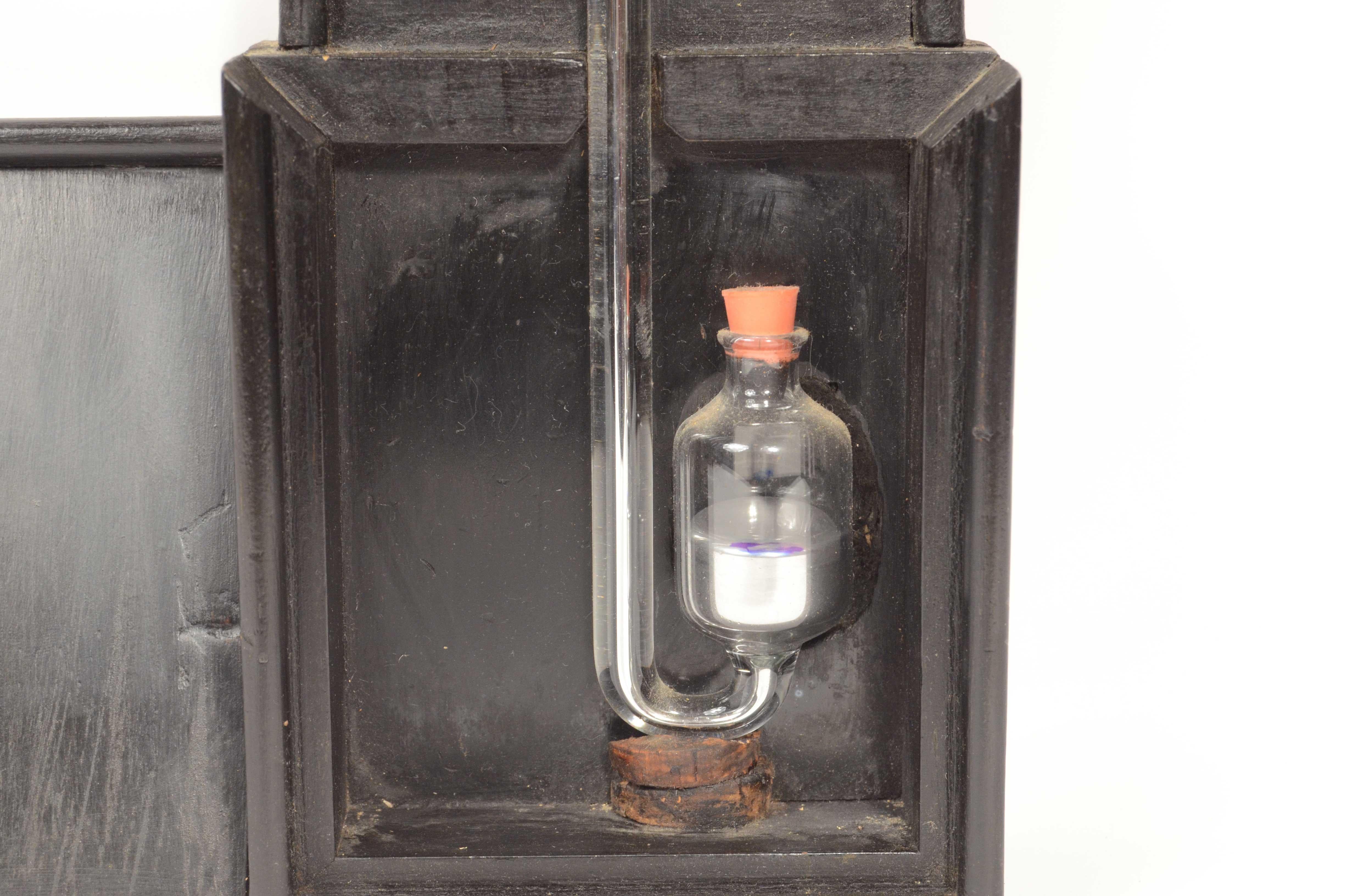 Ebonized wood stick barometer signed TECNOMASIO ITALIANO circa 1870 For Sale 4