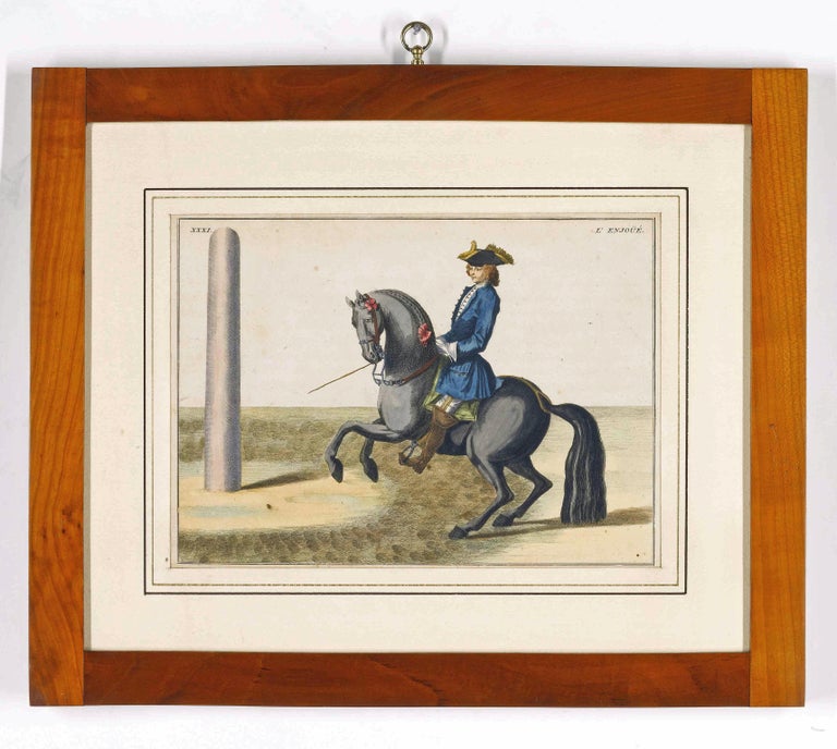 Georgian  Prints of Horses, Baron D'Eisenberg, A Set of Seven. For Sale