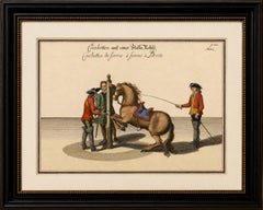 Baroque Courbette Horse Training - Antique Engraving after Newcastle, circa 1700
