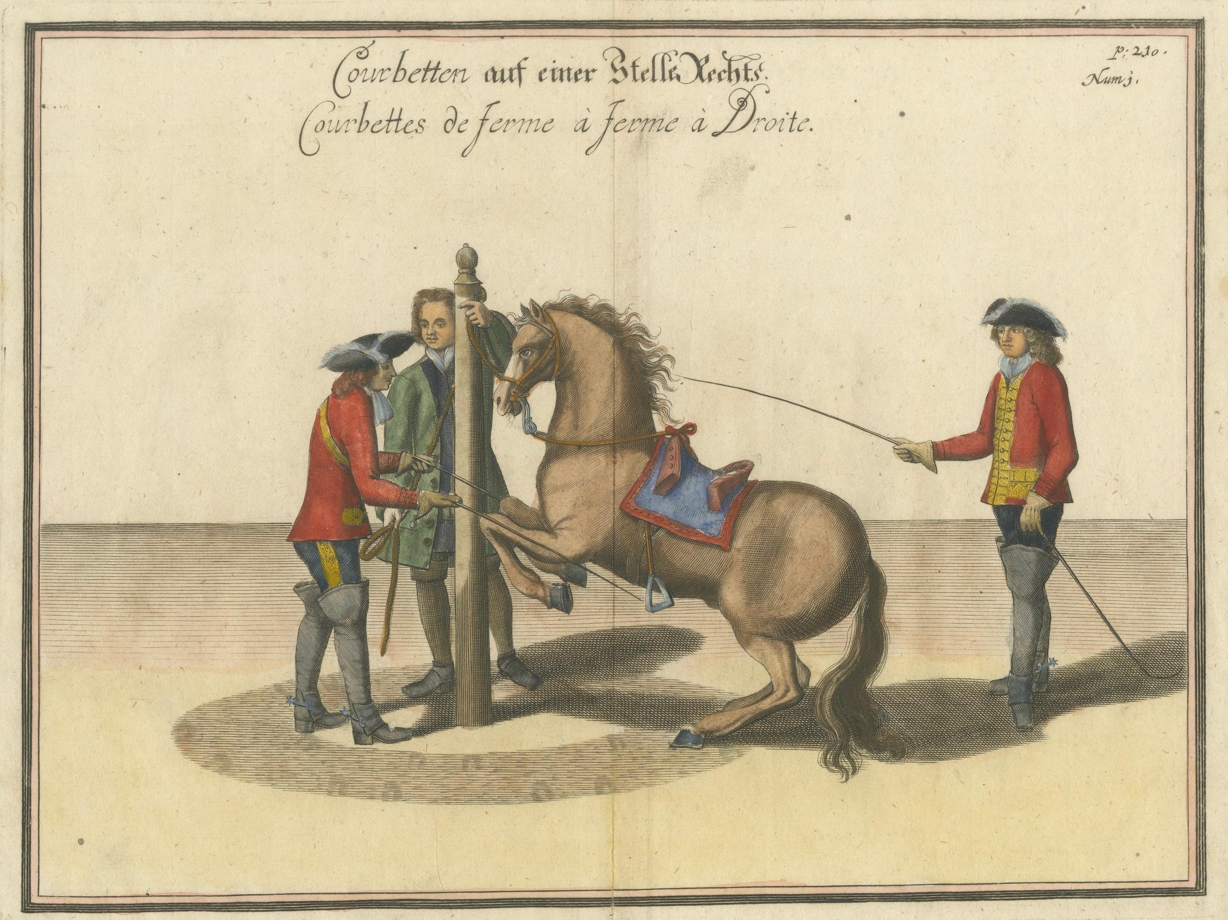 Baroque Courbette Horse Training - Antique Engraving after Newcastle, circa 1700