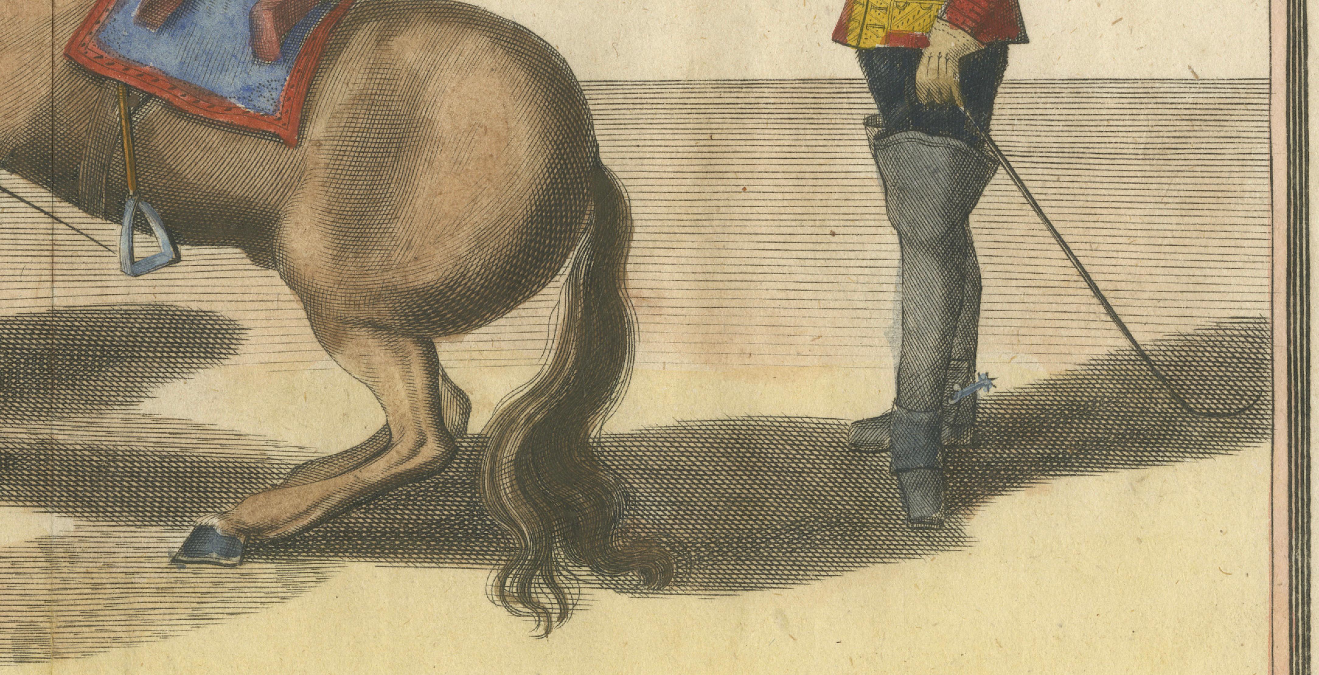 Baroque Courbette Horse Training - Antique Engraving after Newcastle, circa 1700