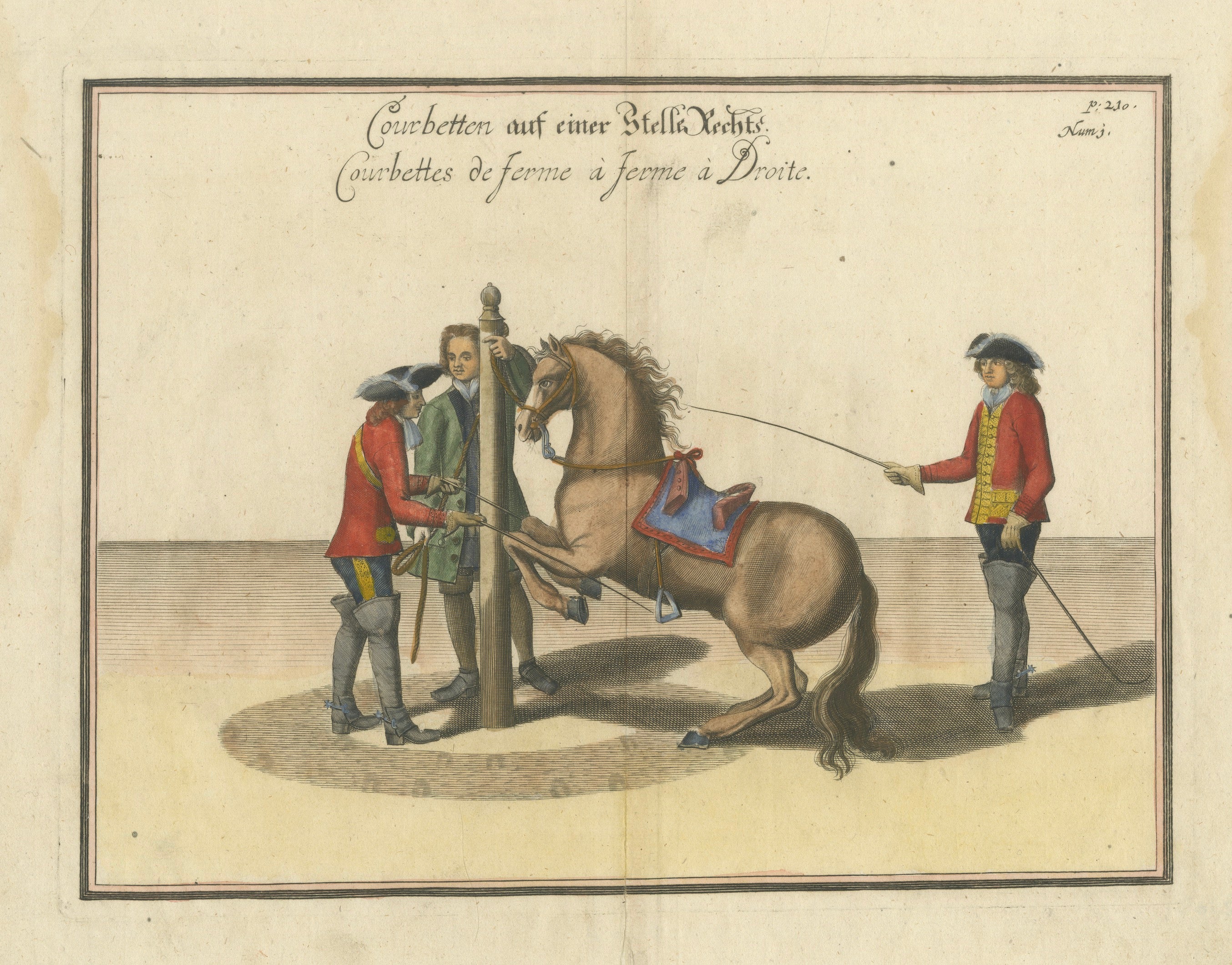 Baroque Courbette Horse Training - Antique Engraving after Newcastle, circa 1700 For Sale