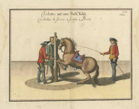 Baroque Courbette Horse Training - Antique Engraving after Newcastle, circa 1700