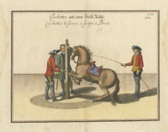 Baroque Courbette Horse Training - Antique Engraving after Newcastle, circa 1700