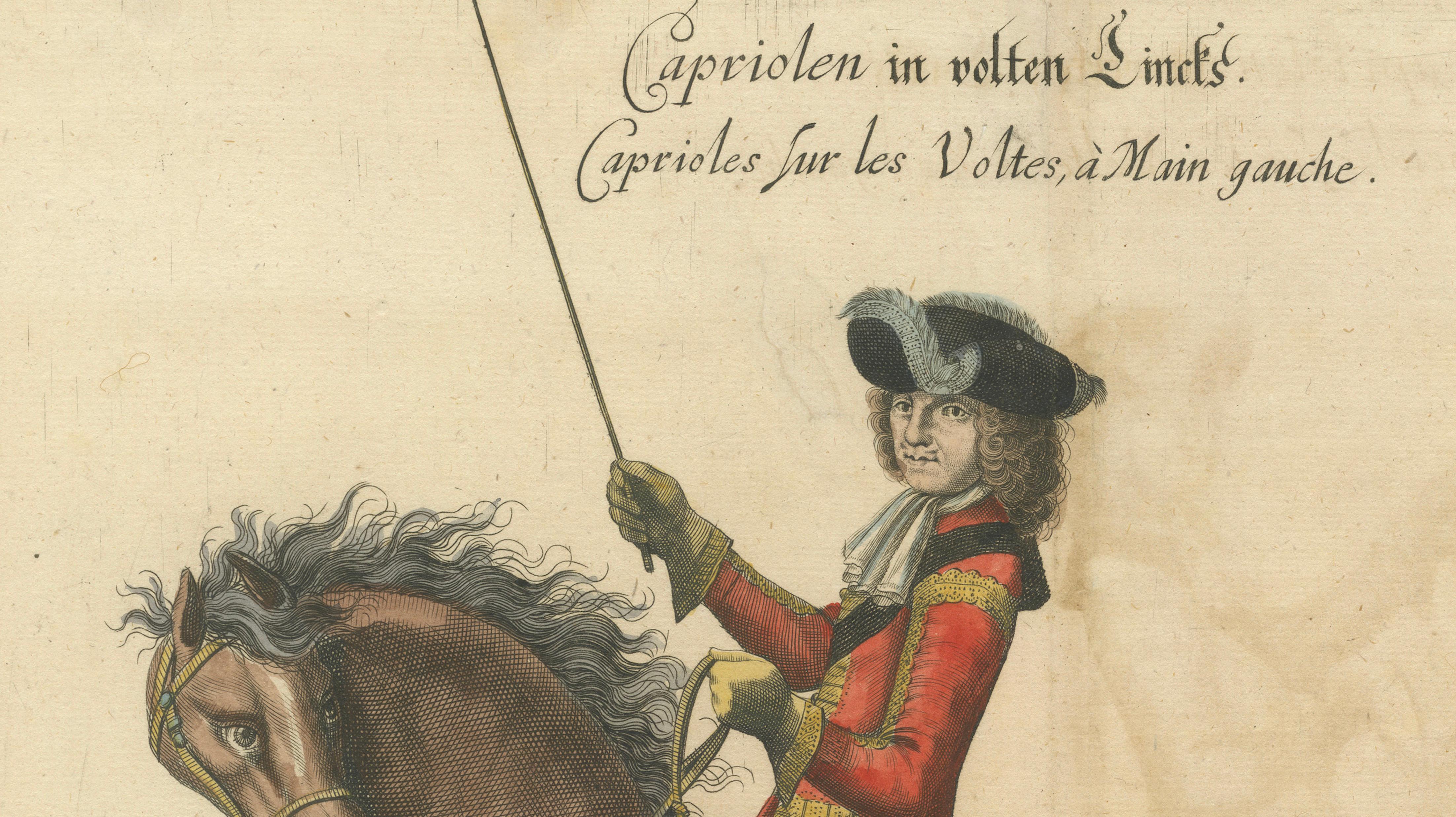 Baroque Dressage Capriole Engraving after Newcastle, circa 1700