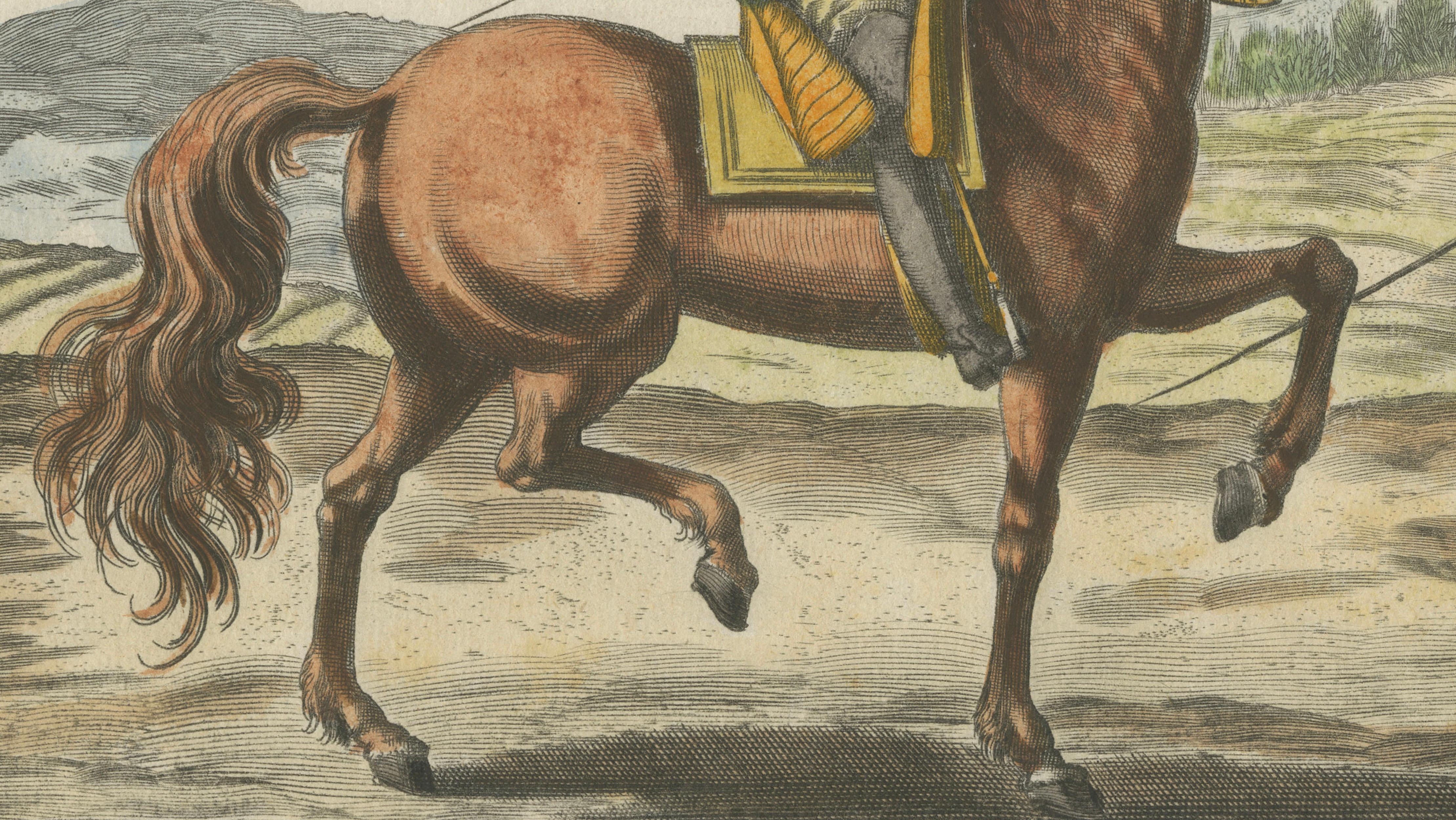 Baroque Dressage Horse in Collection – Georg Simon Winter, 1678