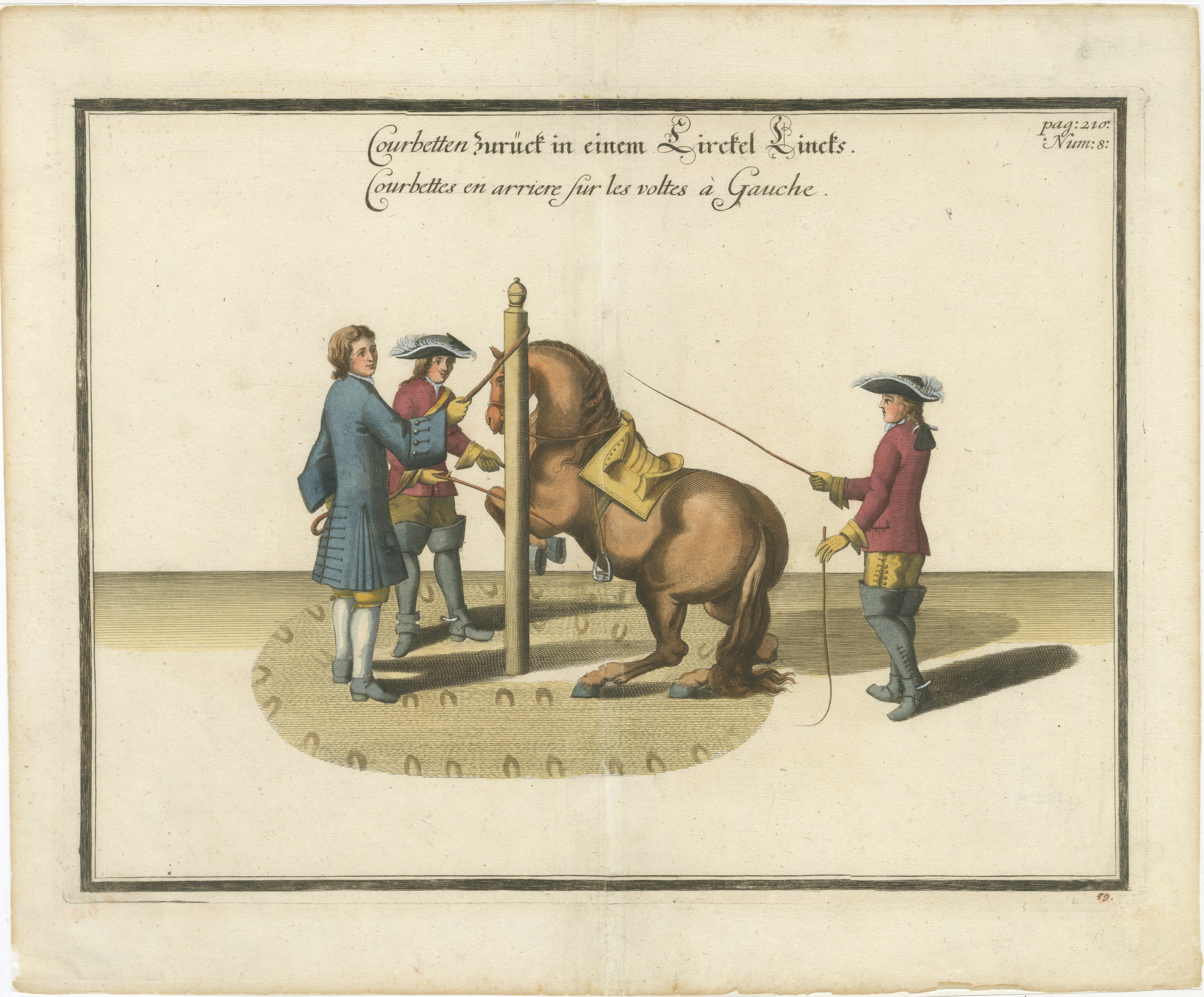 Baroque Dressage Horse Training Engraving, Newcastle Riding School, c.1700
