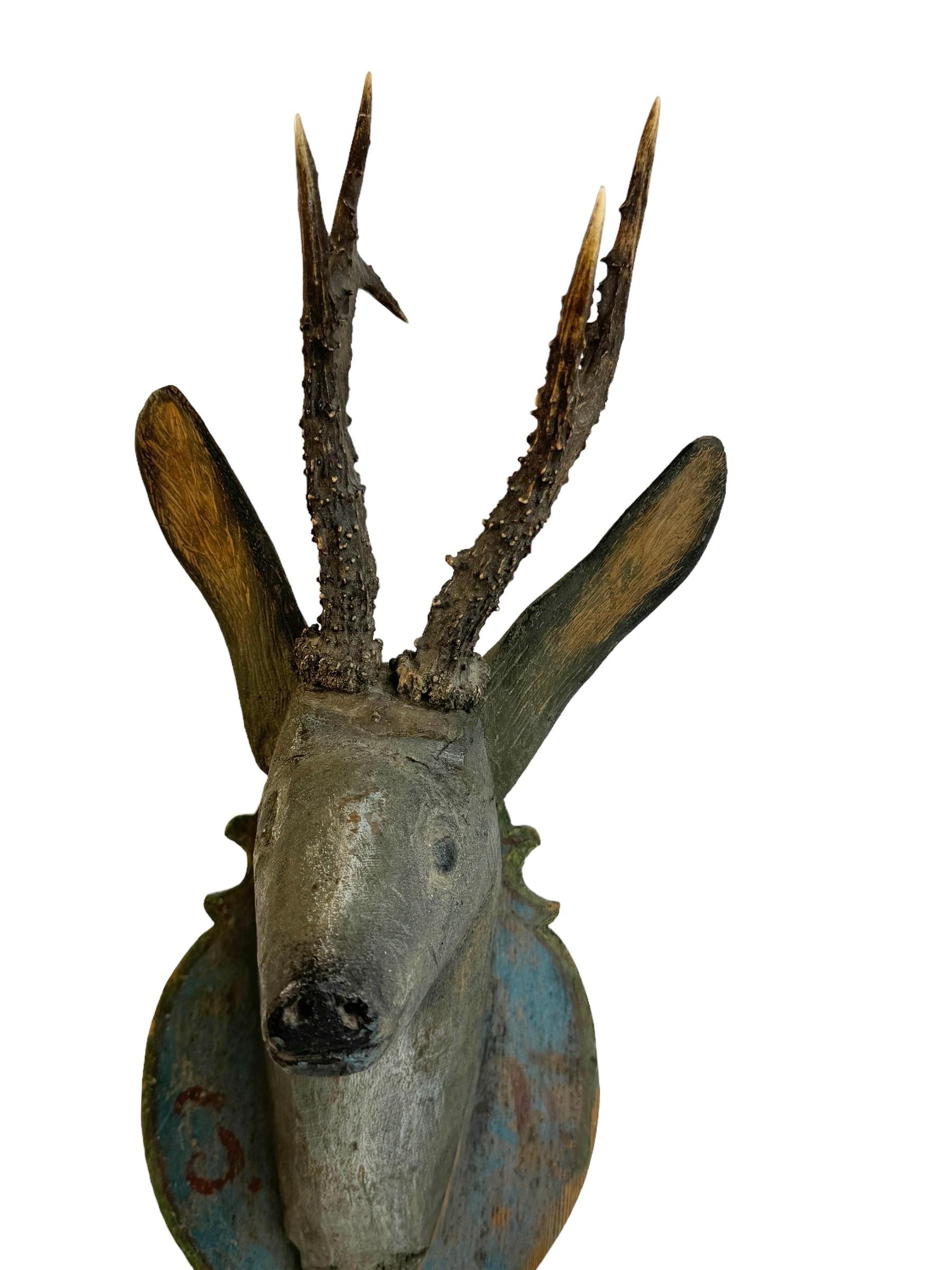 Baroque Folk Art Wood Carved Deer Head with Real Antlers, Austria 18th Century 2