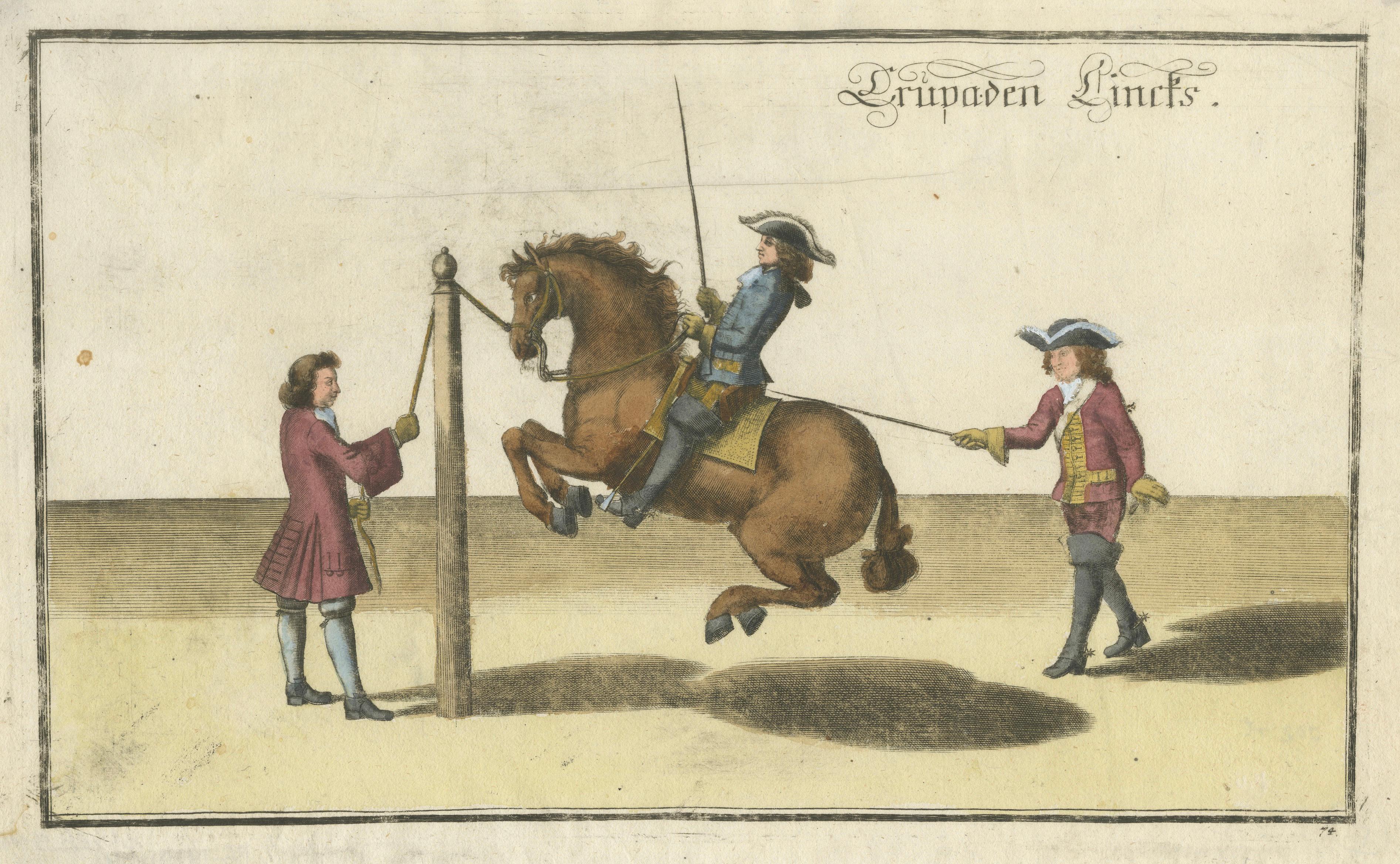 Baroque Levade Horse Training- Antique Engraving after Newcastle, circa 1700