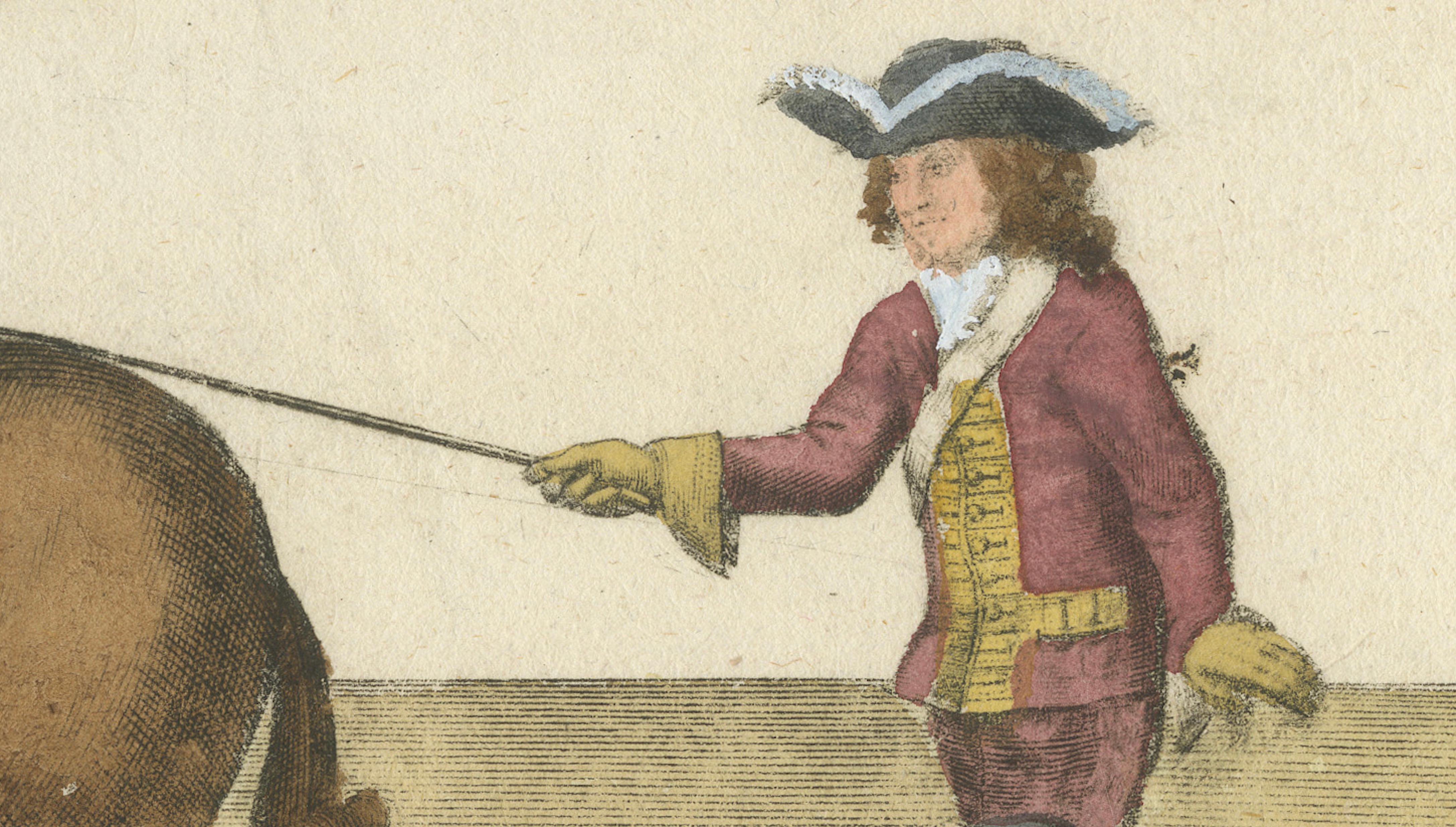 Baroque Levade Horse Training- Antique Engraving after Newcastle, circa 1700