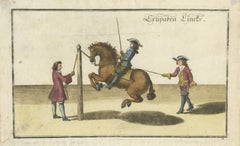 Baroque Levade Horse Training- Antique Engraving after Newcastle, circa 1700