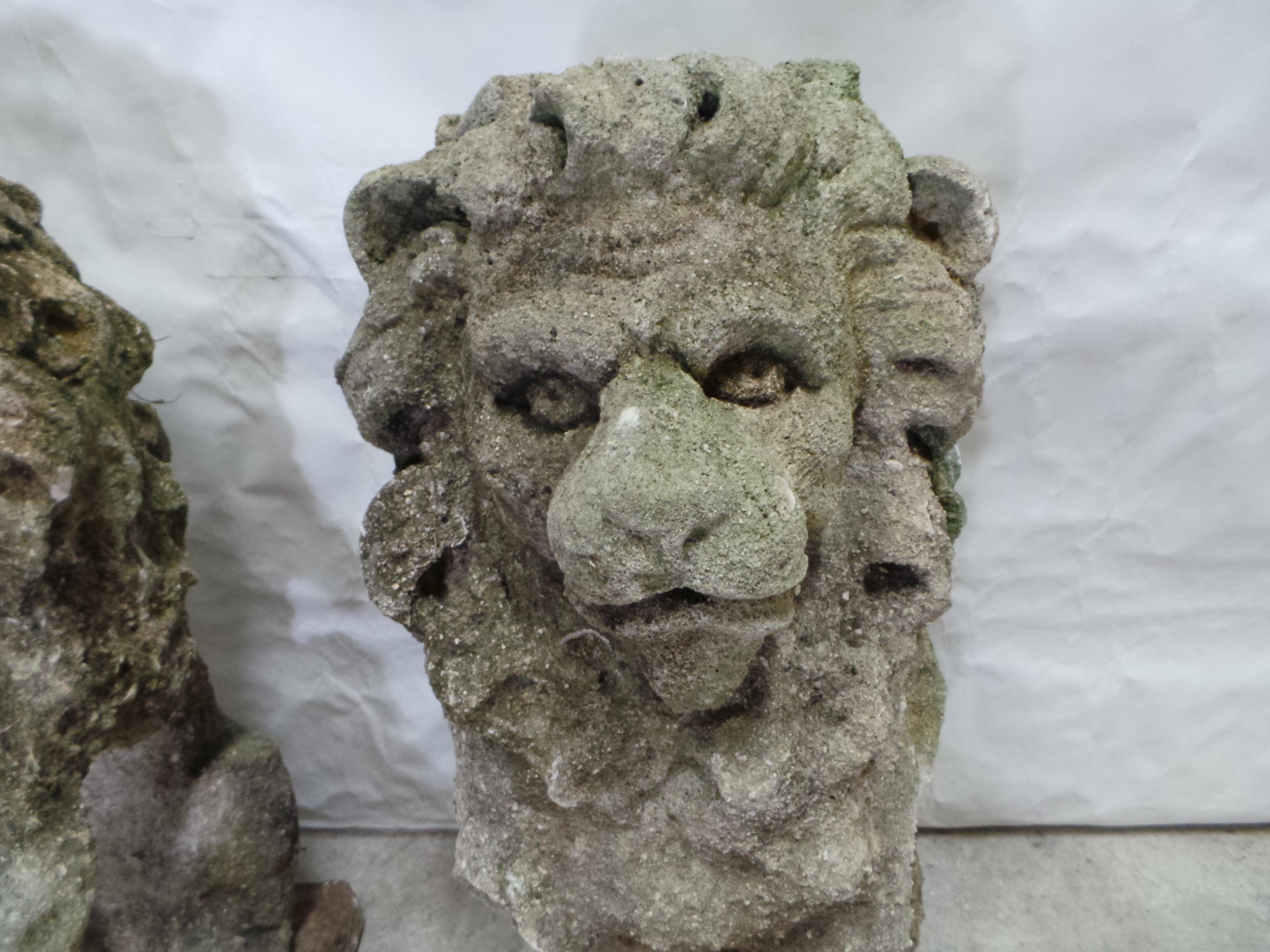 Baroque Statues de lion baroques en vente
