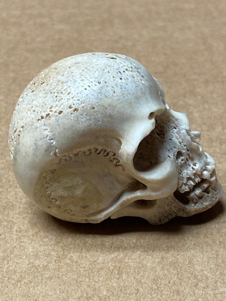 Vanitas or Memento Mori skull. Carved bone. 17th century.
Small human skull made of bone carved in its color with a clear naturalistic intention (visible in details such as the nose, the lower area, etc.). In the Baroque, the human skull is a