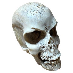 Antique Baroque Vanitas or Memento Mori of a Skull, Bone, 17th Century
