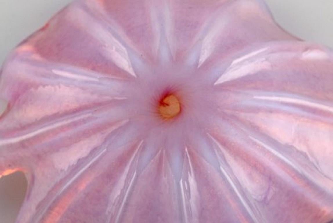 Barovier und Toso, Venedig, große blattförmige Schale aus rosa mundgeblasenem Kunstglas im Angebot 1