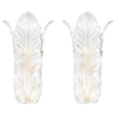 Barovier & Toso Acanthus Sconces, Pair