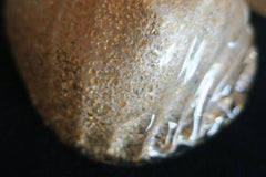 Barovier & Toso Gold Fleck Murano Glass Sconce, 1950s