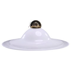 Barovier & Toso Style Murano Glass Pendant Lamp