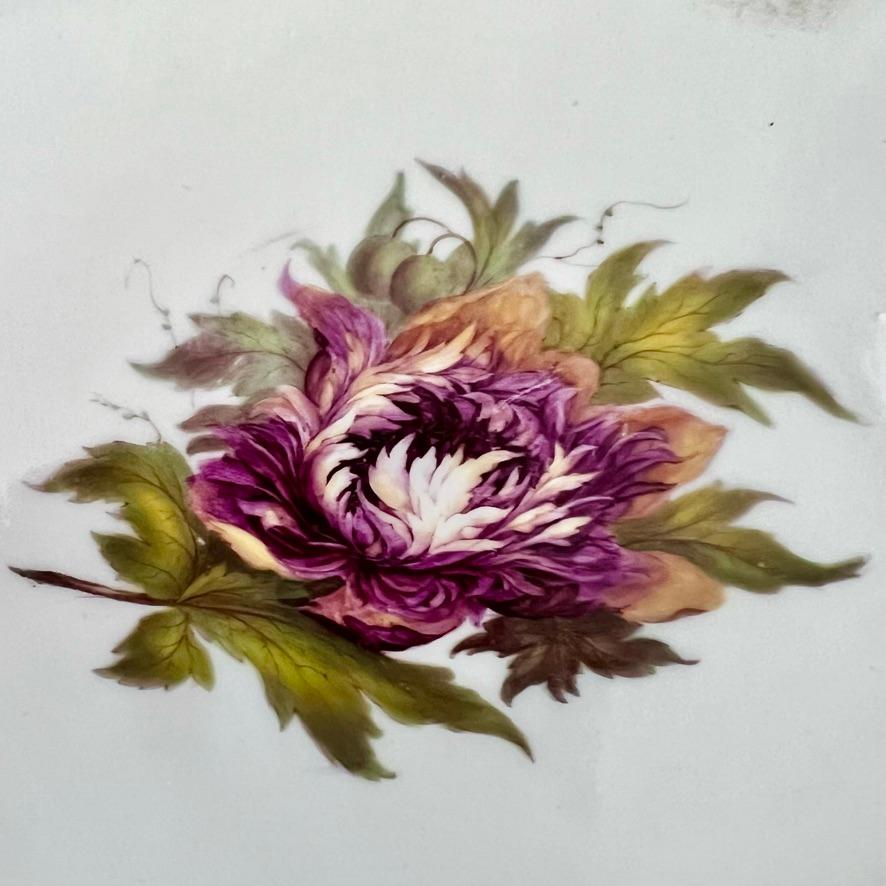 Barr Flight & Barr Teil-Dessertservice, Blumen von William Billingsley, 1808-10 im Angebot 3
