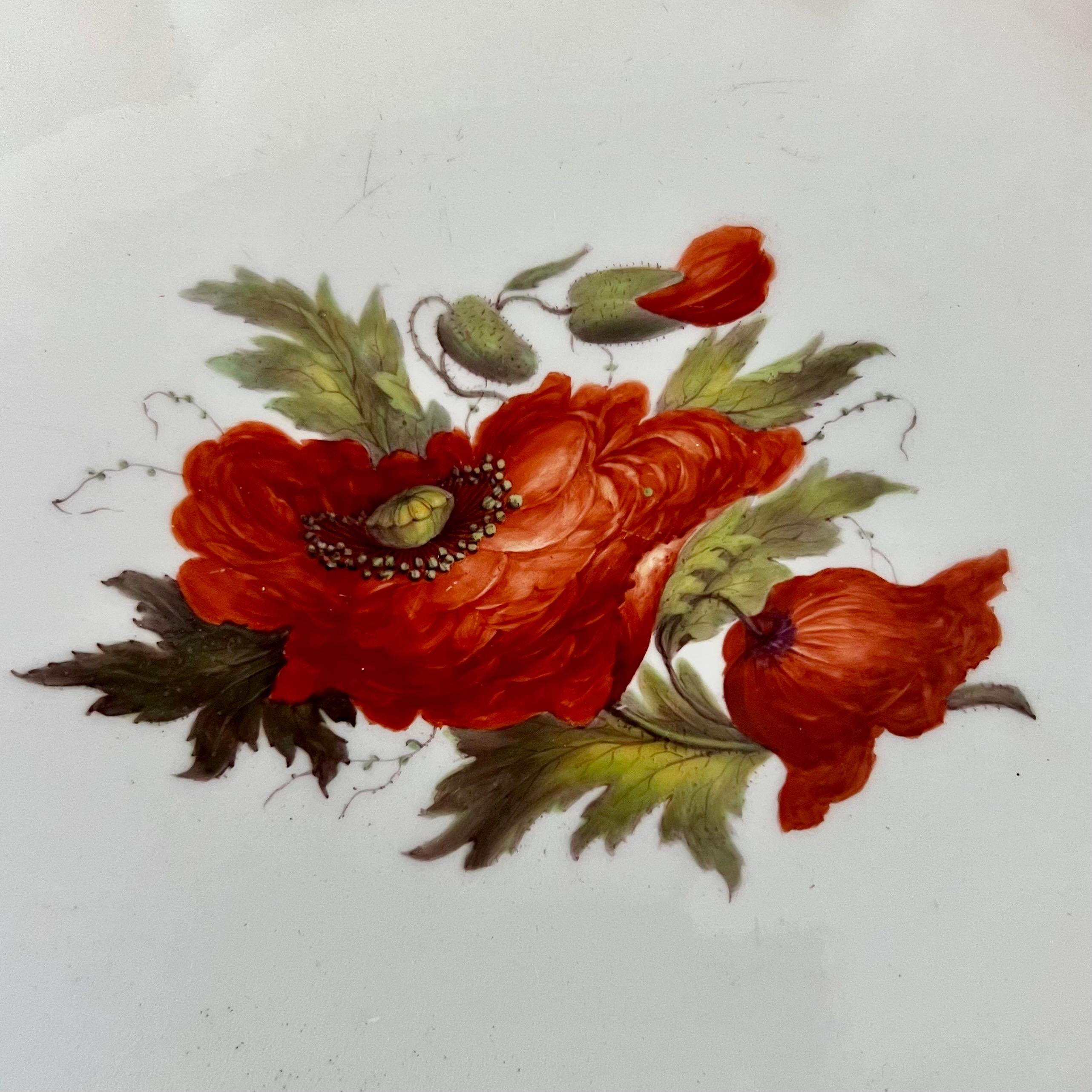 Barr Flight & Barr Teil-Dessertservice, Blumen von William Billingsley, 1808-10 im Angebot 4