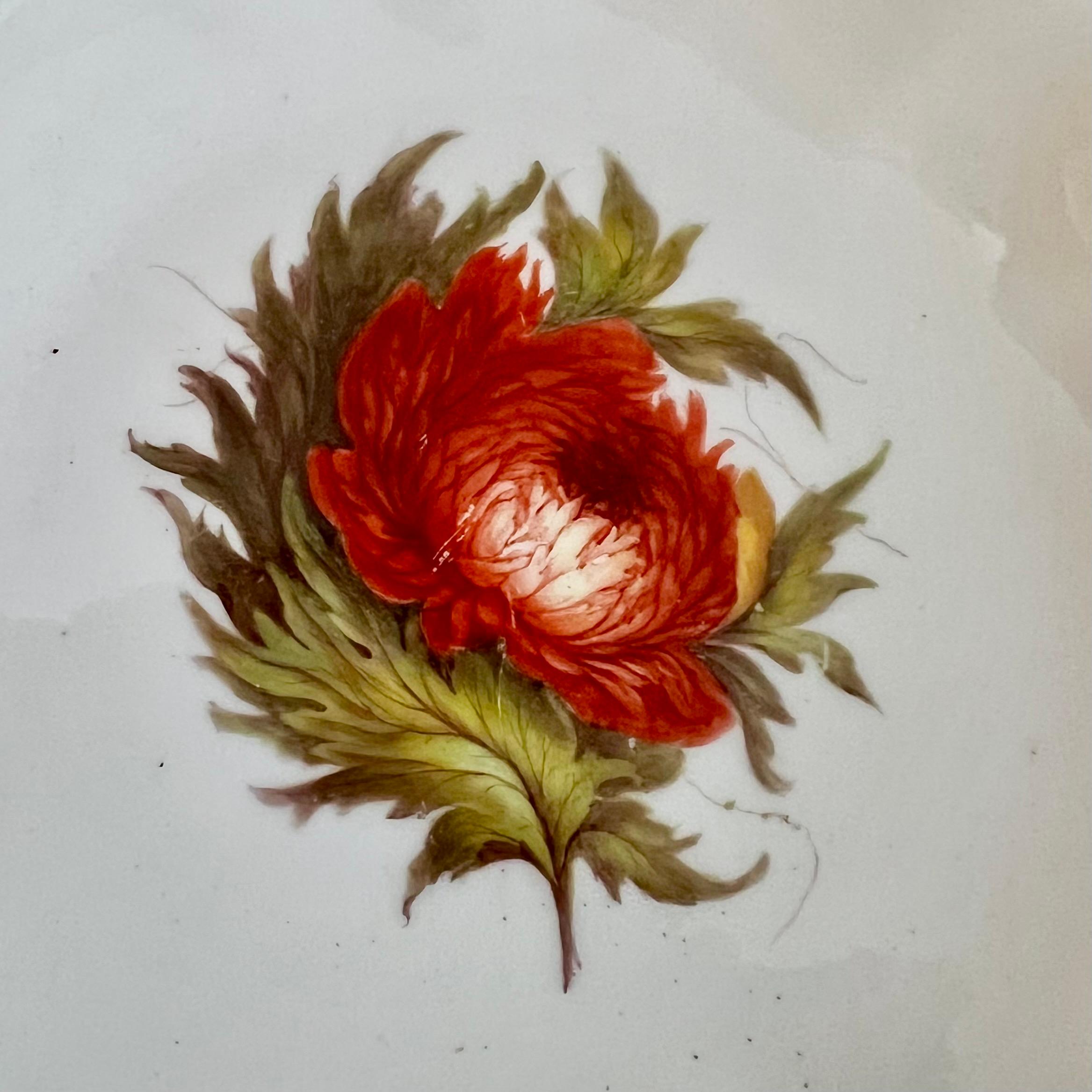 Barr Flight & Barr Teil-Dessertservice, Blumen von William Billingsley, 1808-10 im Angebot 8