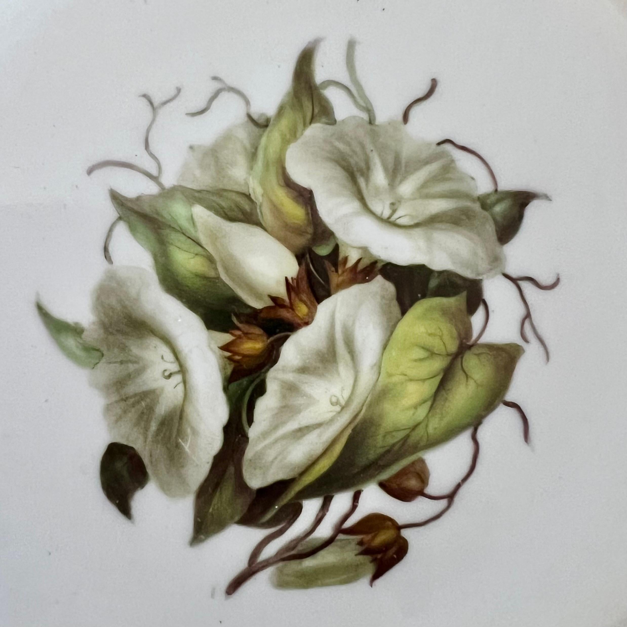 Barr Flight & Barr Teil-Dessertservice, Blumen von William Billingsley, 1808-10 im Angebot 9